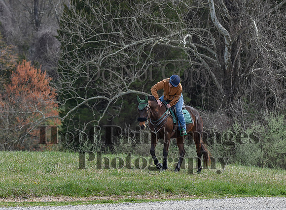 FairHillSpringPC(4-8-23)0173