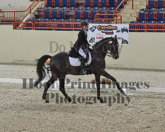 CWdressageII(8-21-16)0674