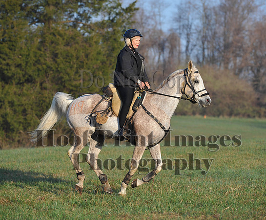 Foxcatcher(4-12-14)0509