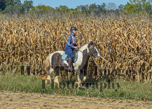 CheshirePonyClubPC(10-6-24)0210
