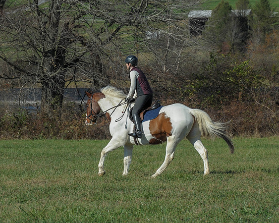 BHPC(11-15-15)0466