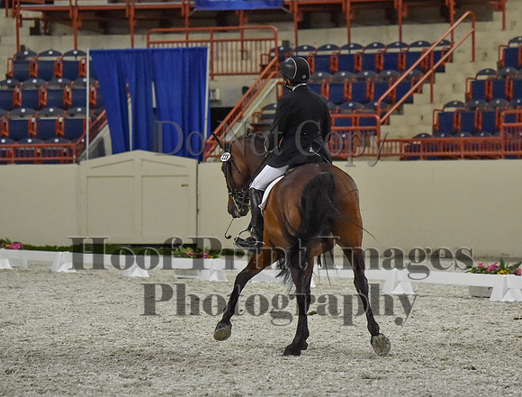 CWdressageI(8-20-16)1305