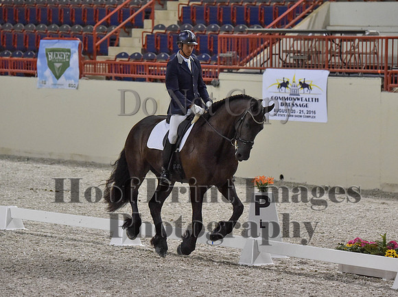 CWdressageI(8-20-16)0290