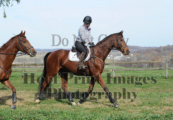 AndrewsBr(11-9-14)0498