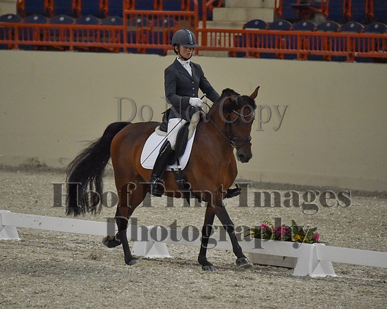 CWdressageII(8-21-16)1134