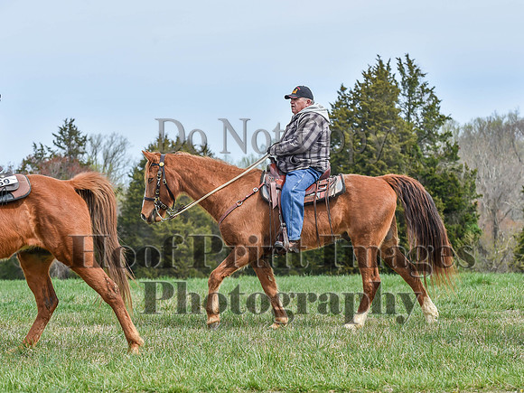 FairHillSpringPC(4-8-23)0265
