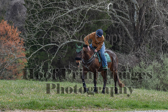 FairHillSpringPC(4-8-23)0174