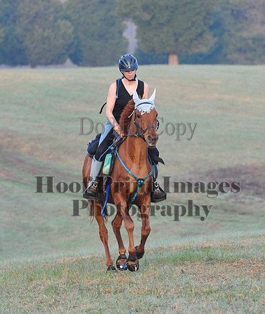 Foxcatcher(4-12-14)0144