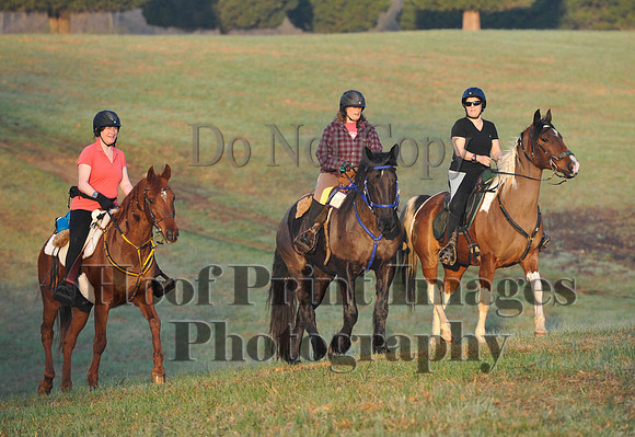 Foxcatcher(4-12-14)0235