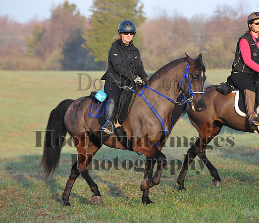 Foxcatcher(4-12-14)0263