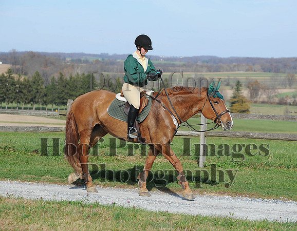 AndrewsBr(11-9-14)0652