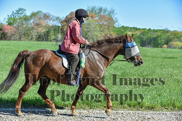 ChesapeakeSpring(4-27-25)0471