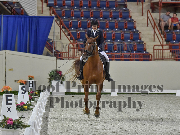 CWdressageI(8-20-16)0781