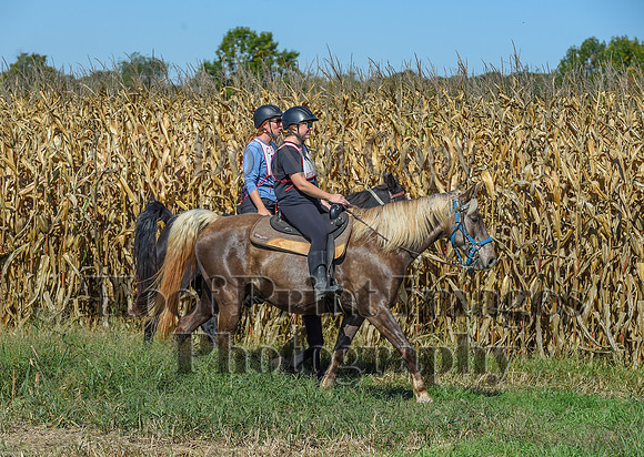CheshirePonyClubPC(10-6-24)0238