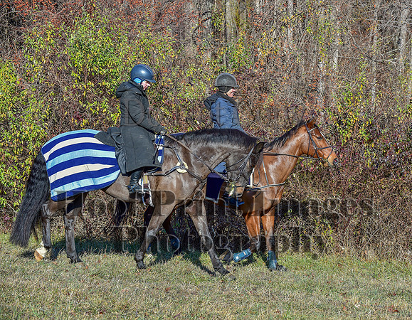 FairHillFallPC(11-30-24)0155