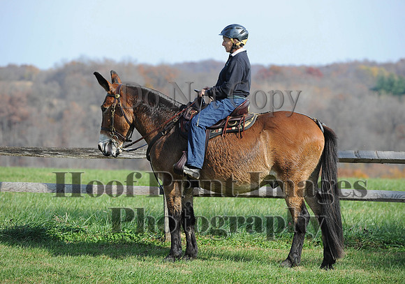 AndrewsBr(11-9-14)0321