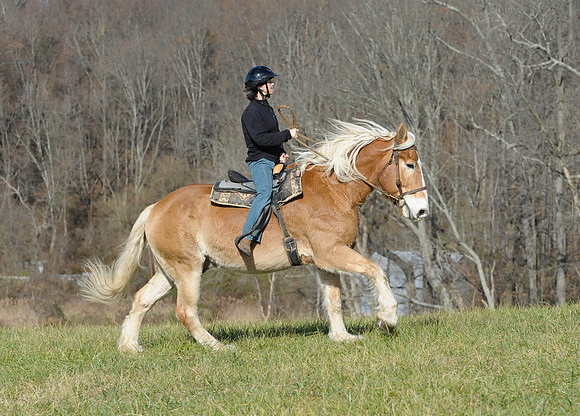 FairHillPC(11-27-15)0015
