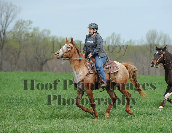 FairHillPC(4-14-17)0048