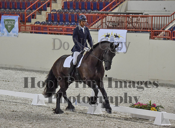 CWdressageI(8-20-16)0291