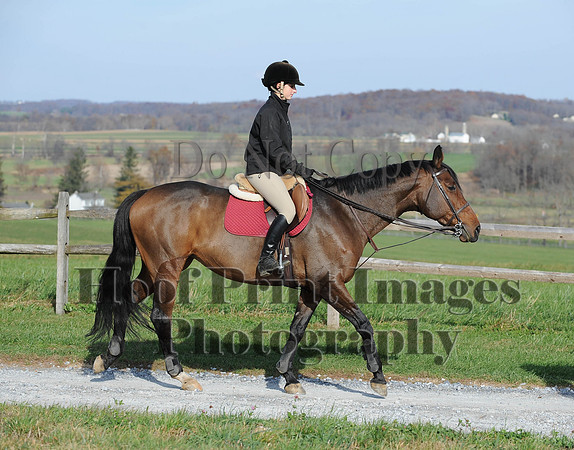 AndrewsBr(11-9-14)0660