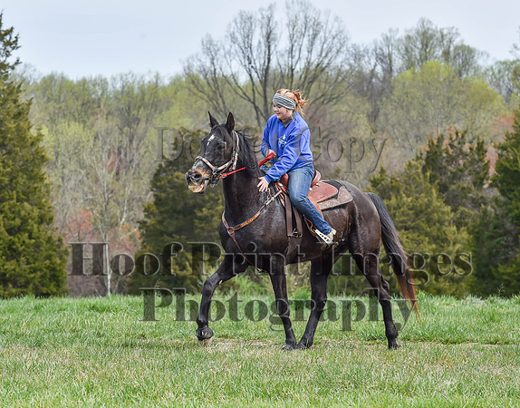 FairHillSpringPC(4-8-23)0228