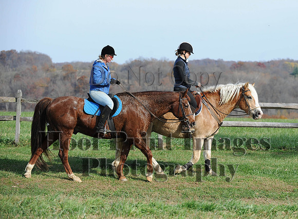 AndrewsBr(11-9-14)0364