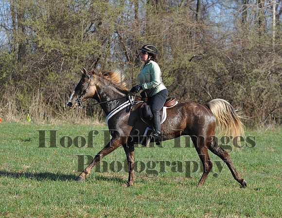 Foxcatcher(4-12-14)0572