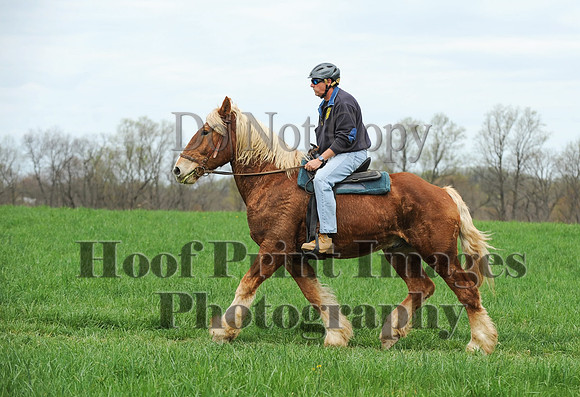 FairHillPC(4-14-17)0467