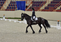 CWdressageI(8-20-16)0059