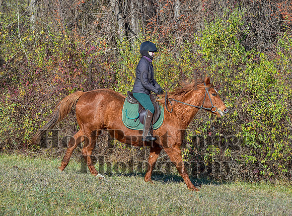 FairHillFallPC(11-30-24)0137