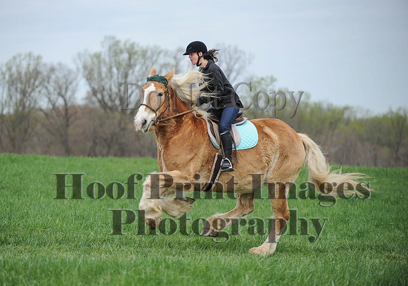 FairHillPC(4-14-17)0137