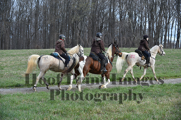 ChesapeakeSpring(4-10-22)0098