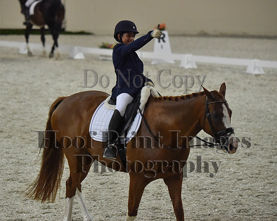 CWdressageII(8-21-16)2040