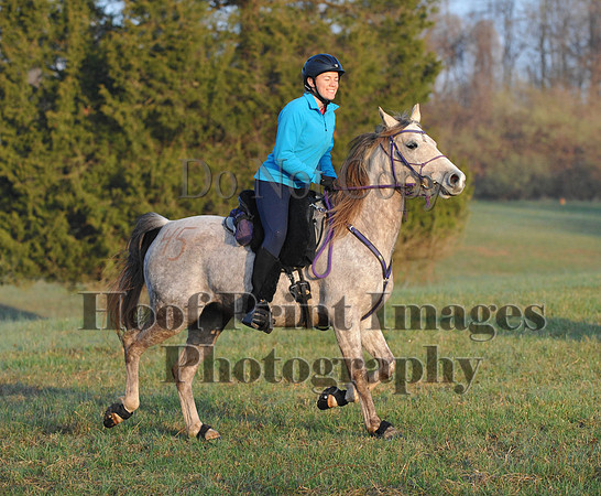 Foxcatcher(4-12-14)0279