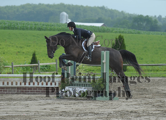 Lion(7-5-15)PrChAd0037