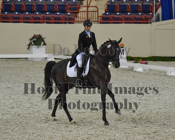 CWdressageII(8-21-16)0670