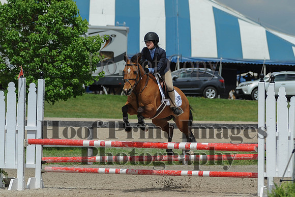 BRSa(5-17-14)0.8mJCl0070