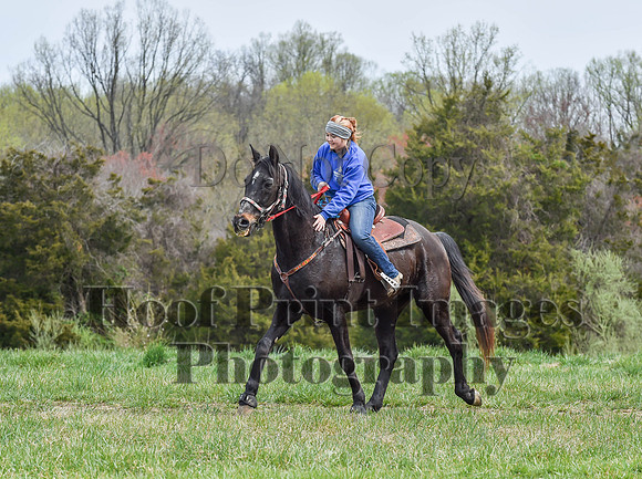 FairHillSpringPC(4-8-23)0227