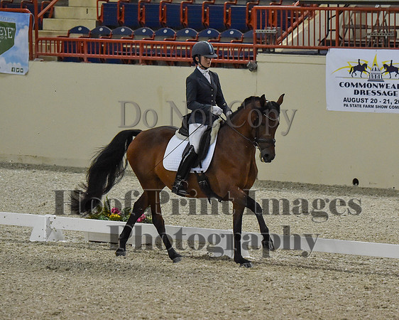 CWdressageII(8-21-16)1135
