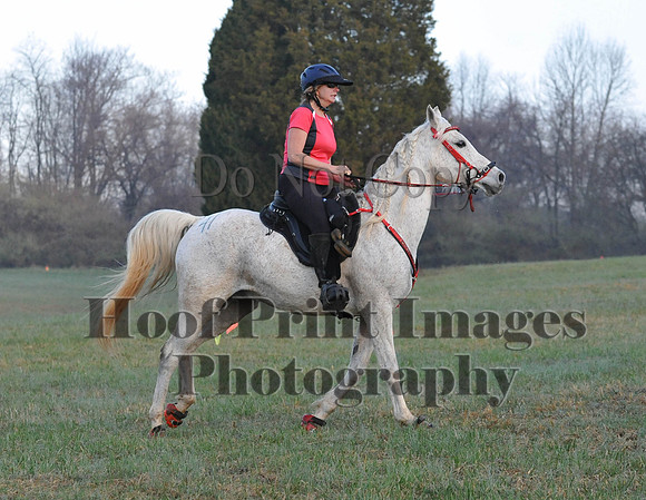 Foxcatcher(4-12-14)0066