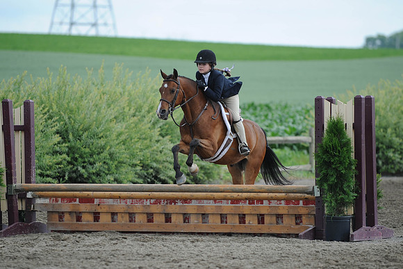 SC(6-28-14)SMPony0031