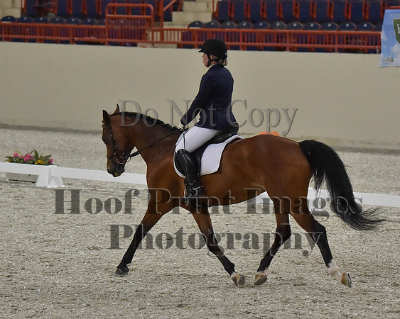 CWdressageII(8-21-16)1380