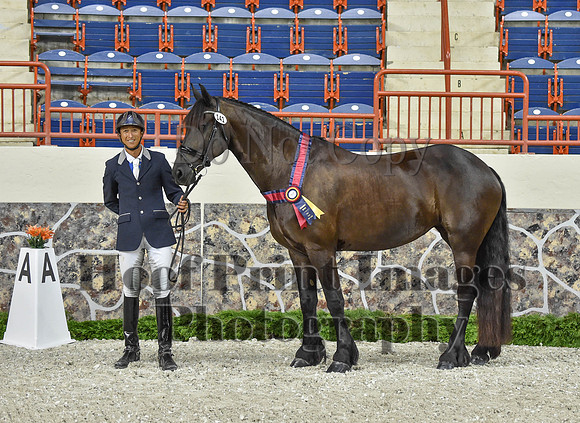 CWdressageI(8-20-16)1190