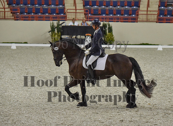 CWdressageI(8-20-16)0286