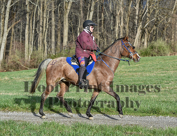 ChesapeakeSpring(4-10-22)0060