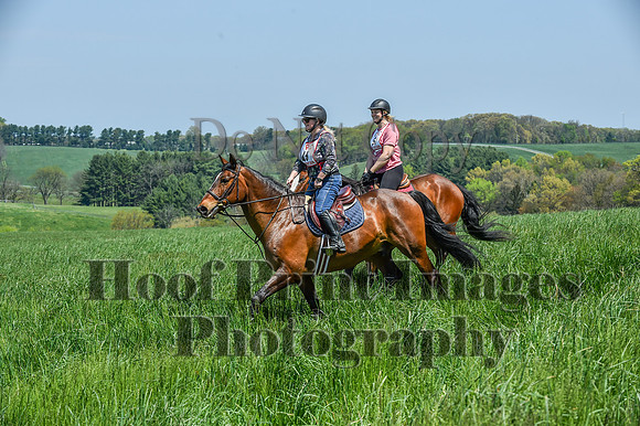 CheshireSpringPC1(4-28-24)0429