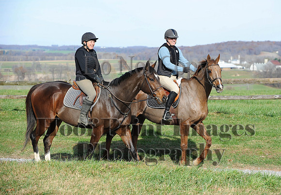 AndrewsBr(11-9-14)0643