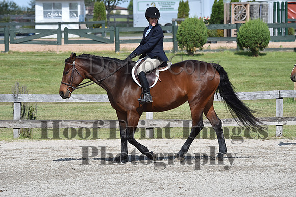StCSun(5-15-16)PrAd0198
