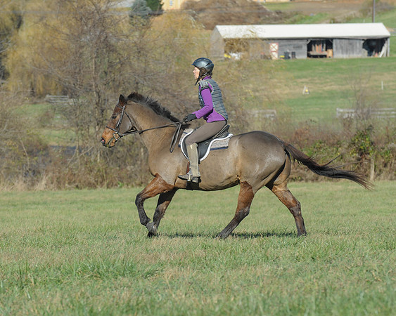 BHPC(11-15-15)0103