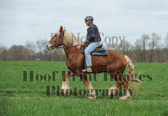 FairHillPC(4-14-17)0469